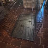 cuccia per cani 