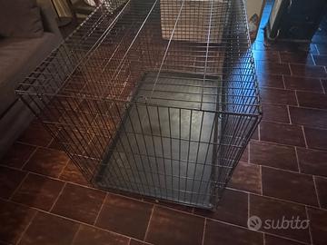 cuccia per cani 
