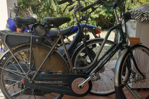 Biciclette a motore sparta olandesi originali