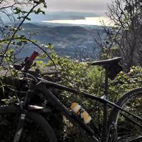 bici da corsa Mountain bike focus