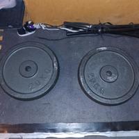  2 Dischi da 20 kg l'uno .