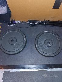  2 Dischi da 20 kg l'uno .