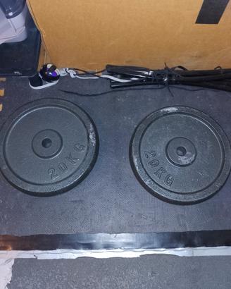  2 Dischi da 20 kg l'uno .