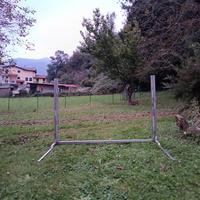 Salto addestramento cani IGP