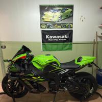 Kawasaki Ninja ZX-10R 2019 KRT Replica