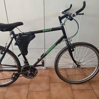 Mountain Bike adulto 