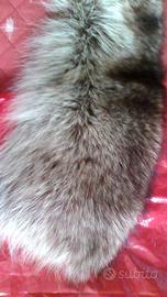Collo VERA MARMOTTA+altri colli + Accessori