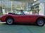 Immagine 8