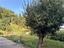 Immagine 24