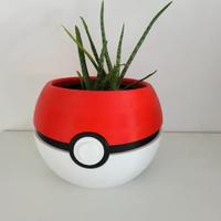 vaso pokemon