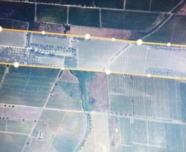 Terreno agricolo uliveto vigneto