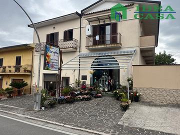 N. 2 Appartamenti Ruviano