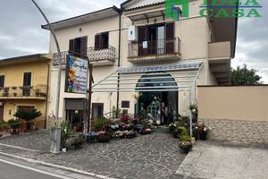 N. 2 Appartamenti Ruviano