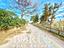 Immagine 25