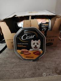 cibo per cani