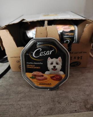 cibo per cani