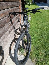 MTB FOCUS