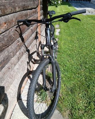 MTB FOCUS