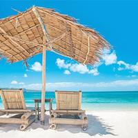 Direttore Tecnico di Agenzia Viaggi Liguria