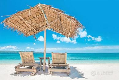 Direttore Tecnico di Agenzia Viaggi Liguria