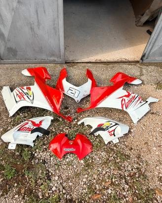 Carene Flamingo Corse Panigale V4 2018
