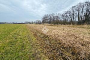 TER. AGRICOLO A BESANA IN BRIANZA