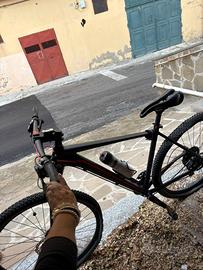 Bici Mountain Bike Cube LTD Pro 2x