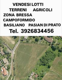 Terreni agricoli