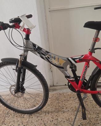 bicicletta 26