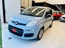 fiat-panda-1-0-firefly-s-s-hybrid-city-cross