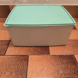 Contenitore Tupperware per freezer