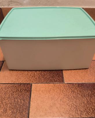 Contenitore Tupperware per freezer