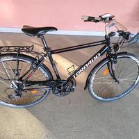 Bicicletta da uomo