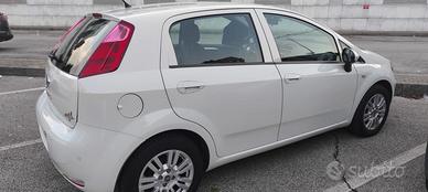 Fiat Punto Street