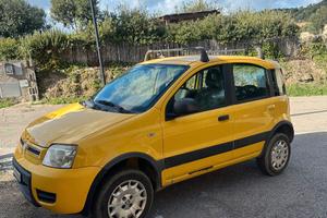 FIAT PANDA 4x4 - 1.2 Benzina
