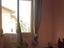 Immagine 10