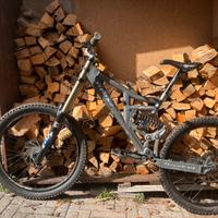 Bici da downhill freeride