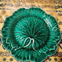 Set 12 Piatti Wedgwood porcellana verde a foglia