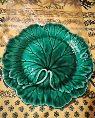 Set 12 Piatti Wedgwood porcellana verde a foglia