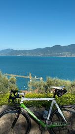 Bici da corsa