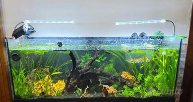lampade per acquario