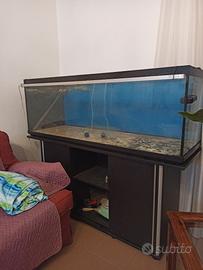 Acquario 400 litri