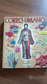 Libro IL CORPO UMANO