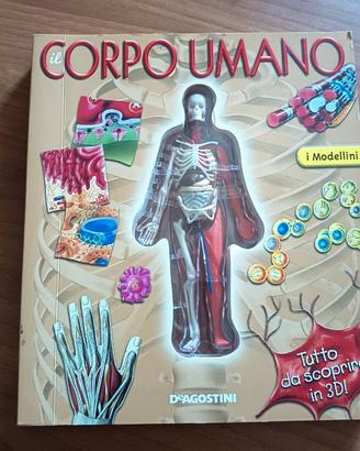 Libro IL CORPO UMANO