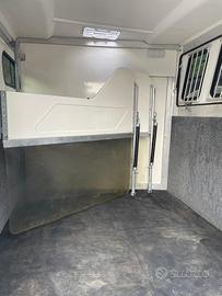 Biga horses trasporto cavalli