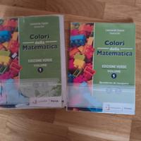 I COLORI DELLA MATEMATICA ED. VERDE VOL-1
