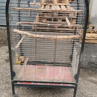 gabbia per pappagalli