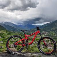 GIANT REIGN SX 2 2019