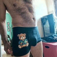 boxer orsetto