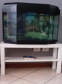 Acquario